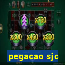 pegacao sjc